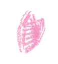 桜の花びら 3