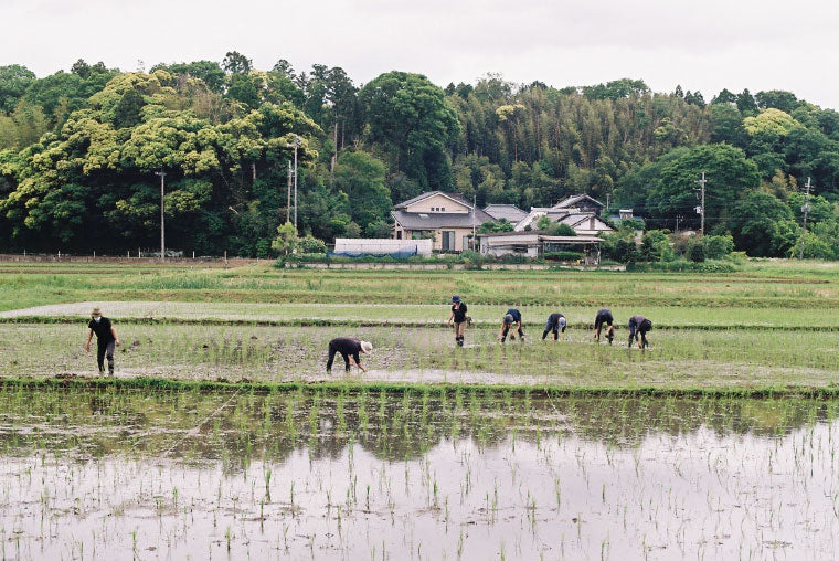 農業体験、職人さんとの体験、ワークショップにご招待