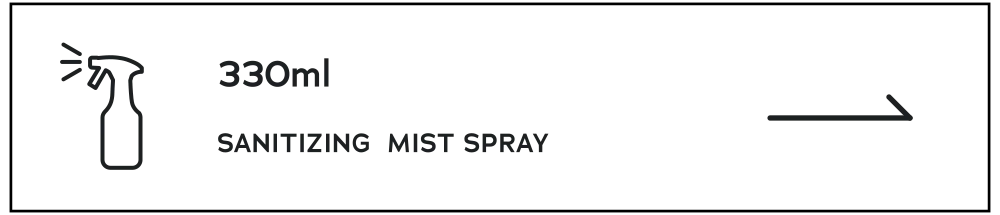 SANITIZING MIST SPRAY BIG