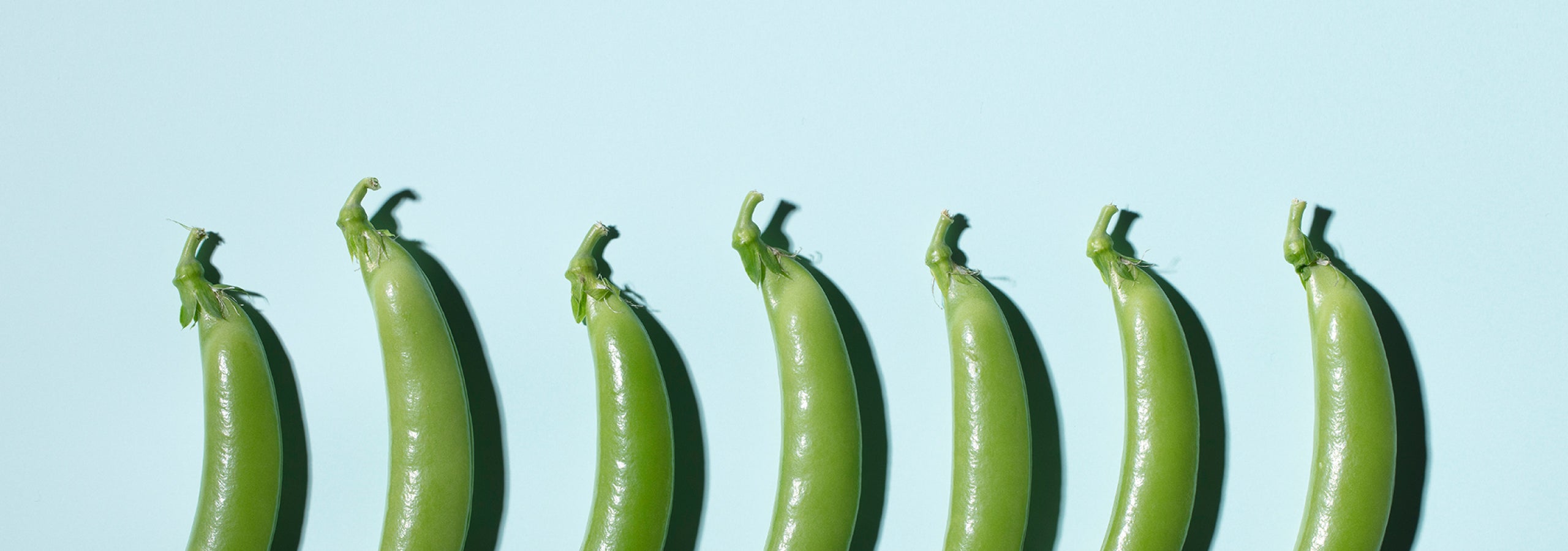 春のアウトレットセール